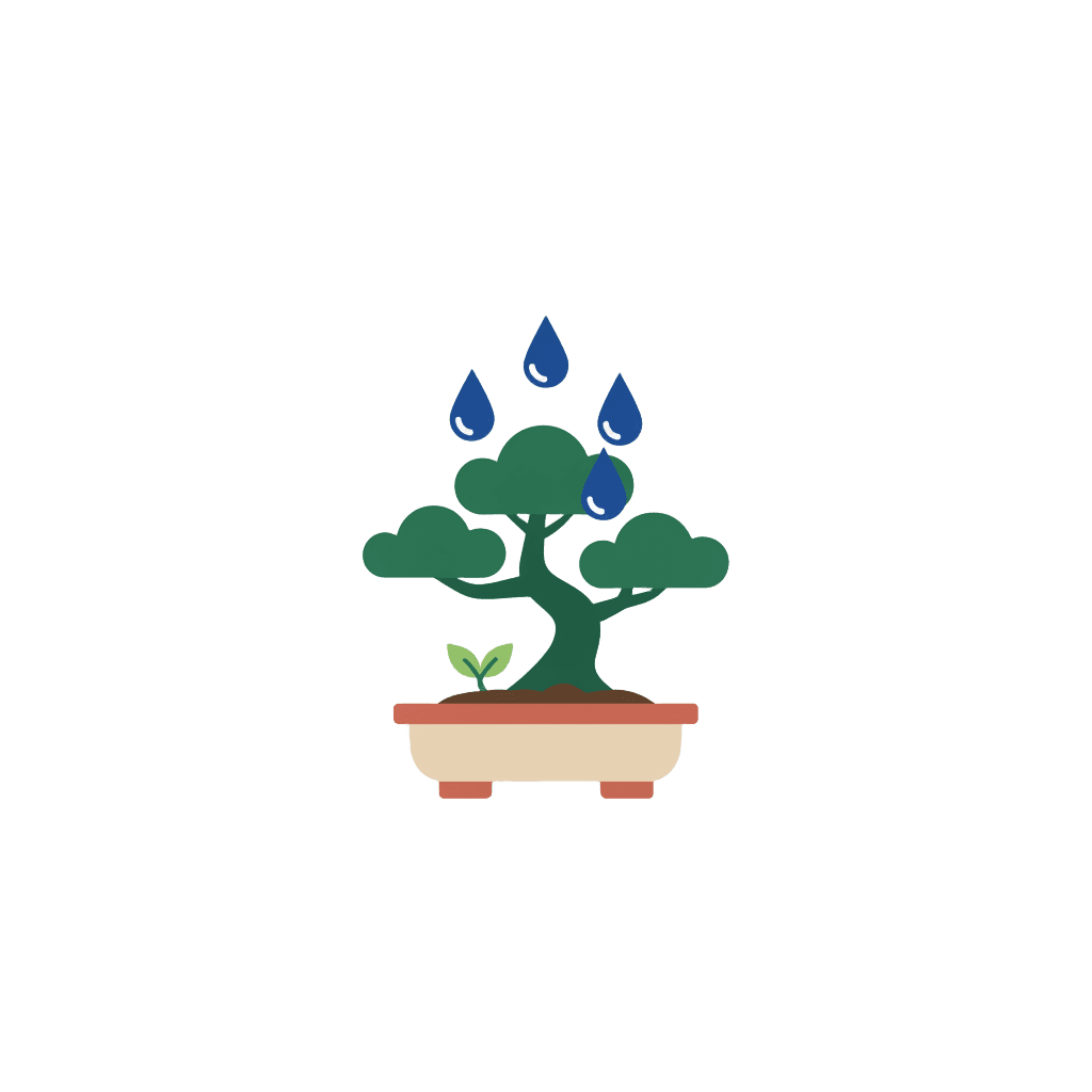 Daily Practice